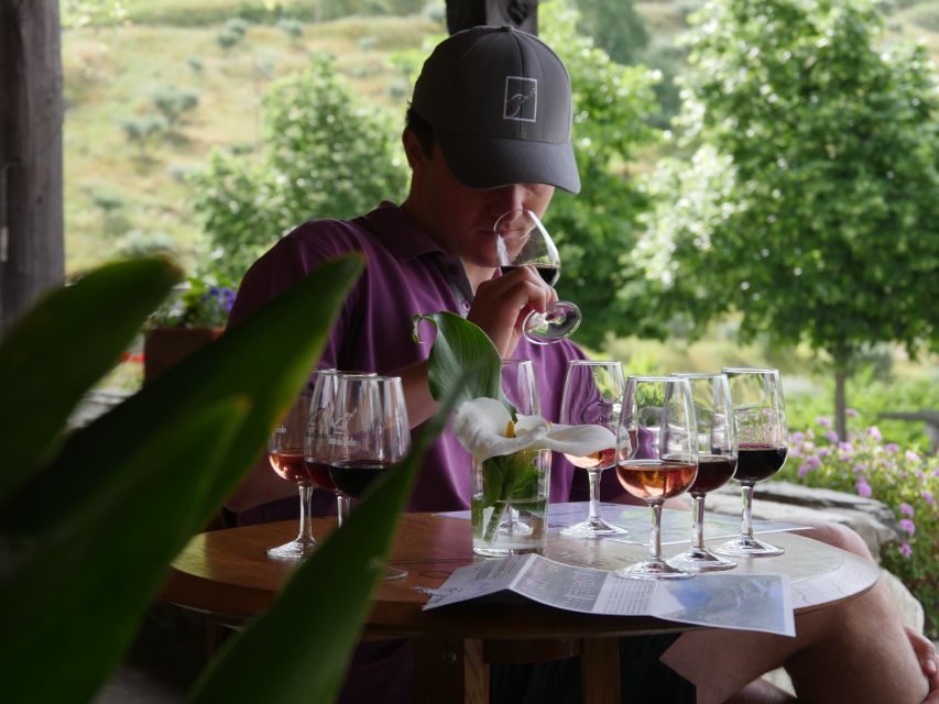 Douro Valley: Quinta Do Tedo Winery Tour and Tasting - Tour Inclusions