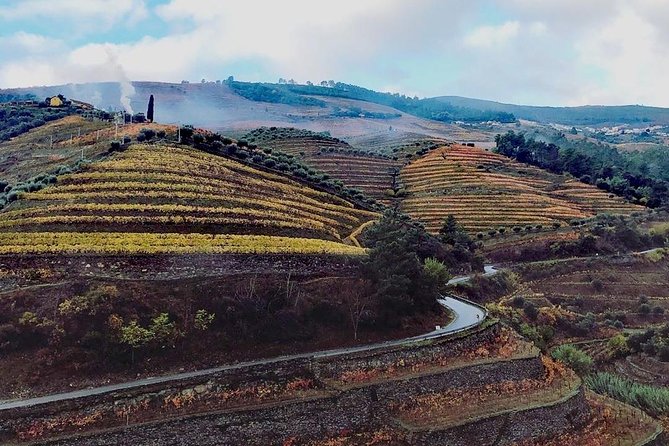 Douro Valley Small Group Tour From Porto - Customer Feedback