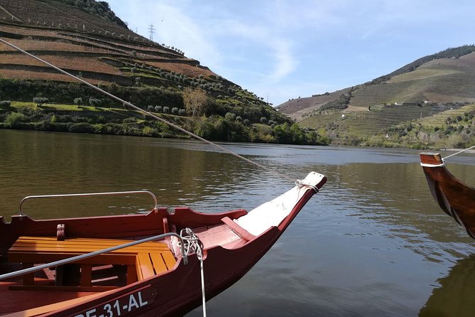 Douro Valley: Small-Group Tour Wine Tasting, Lunch, River Cruise - Highlights of the Tour