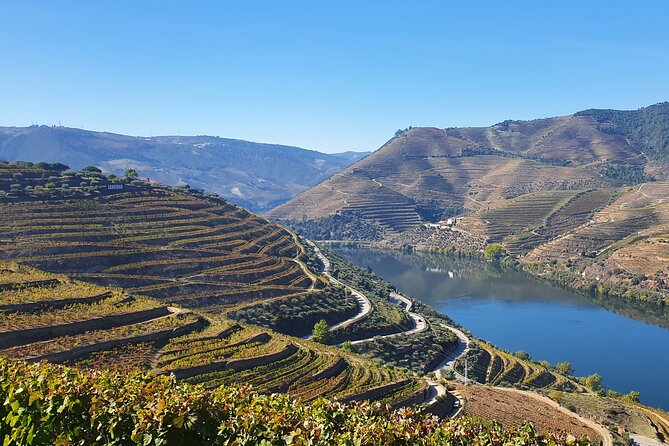 Douro Valley Tour: Wine Tasting River Cruise and Lunch From Porto - Customer Reviews and Recommendations