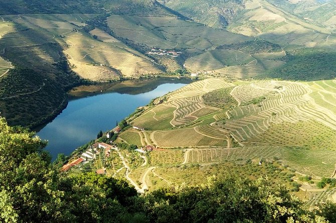 Douro Valley Wine Tour With Friends & Traditional Lunch - Authenticity Verification
