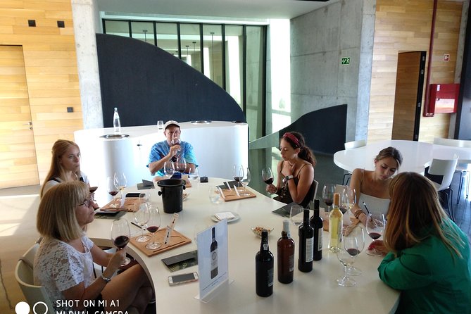 Douro Valley Wine Tour - Gourmet Food Pairings