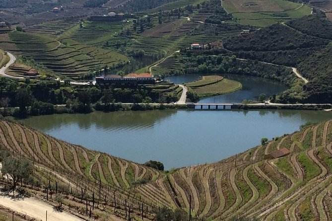 Douro Winery Tour With Cruise and Lunch From Peso Da Regua - Pricing and Operator Information