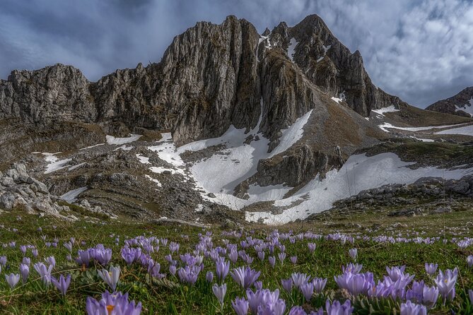 Dragon Lake Trekking From Mikro Papigko to Drakolimni - Additional Tour Information