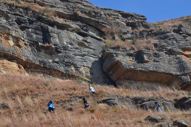 Drakensberg Kamberg Rock Art & Mandela Capture Site Day Tour From Durban - Reviews and Ratings