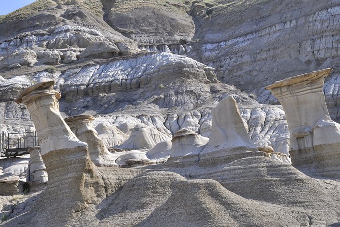 Drumheller (Dinosaur Valley) & Horseshoe Canyon 1-Day Tour - Logistics Details