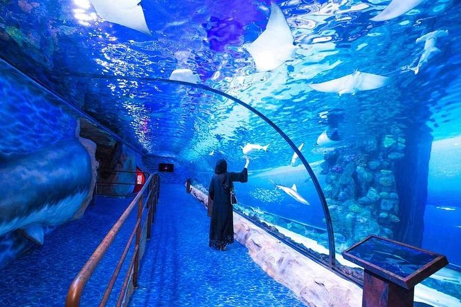 Dubai Aquarium and Underwater Zoo Combo Ticket - Expectations for Visitors