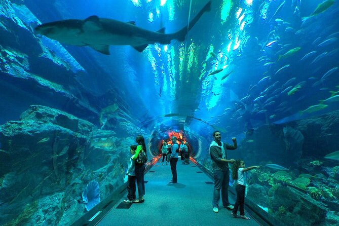Dubai Aquarium & Underwater Zoo - Ratings and Reviews