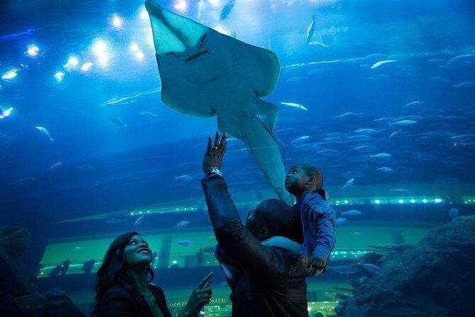 Dubai Aquarium With Glass Bottom Boat Tour - Refund Guidelines and Cut-off Times