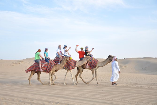 Dubai Desert Adventure Half-Day Tour - Reviews and Ratings