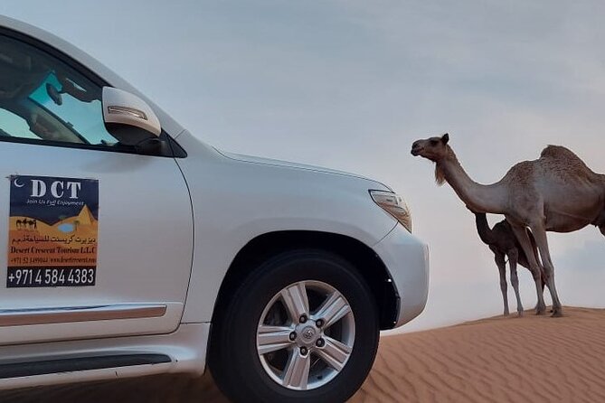 Dubai Desert Safari, Camel Ride, Sand Boarding and BBQ Dinner - Customer Support and Information