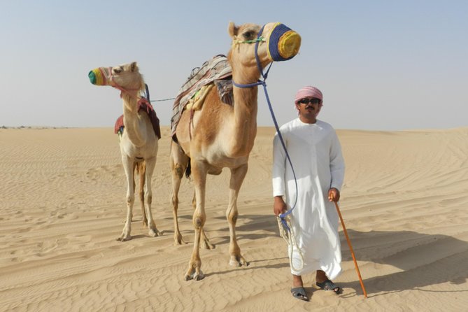 Dubai Desert Safari With BBQ, 3 Shows & Camel Ride at Majlis Camp - Driver Feedback