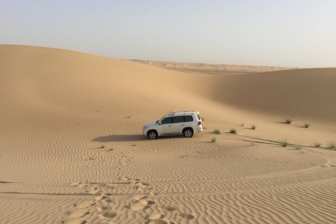 Dubai Kids Friendly Morning Safari - Private Car - Safety Measures and Guidelines