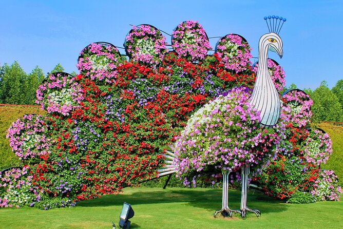 Dubai Miracle Garden Ticket With Transfer - Traveler Feedback and Rating