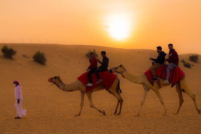 Dubai Premium Sunset Safari Camel Ride and Dinner - Media, Photos, and Reviews