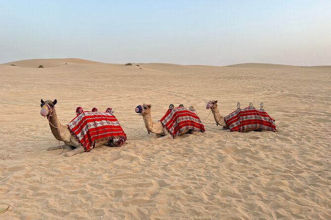 Dubai Red Dune Desert Safari on Private 4x4, Sand Boarding, Camel - Traveler Photos and Reviews