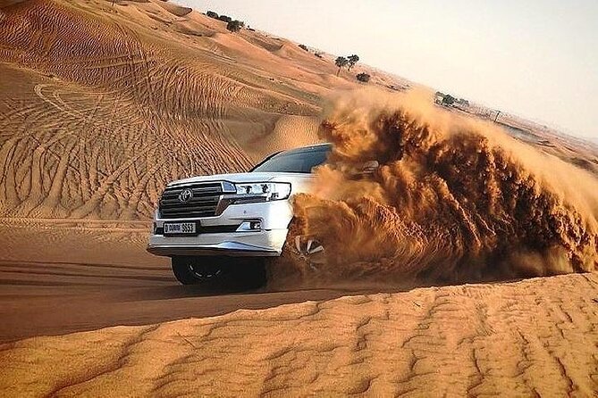 Dubai Red Dunes Desert Safari, With BBQ, Camel Ride, Sand Boarding And Much More - Traveler Testimonials