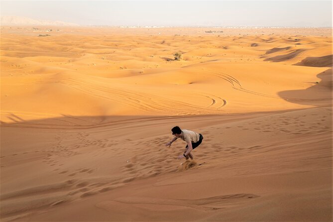 Dubai Red Dunes With Sandboarding, Camel Ride, Falcon & VIP Camp - Meet Falcons in the Arabian Desert