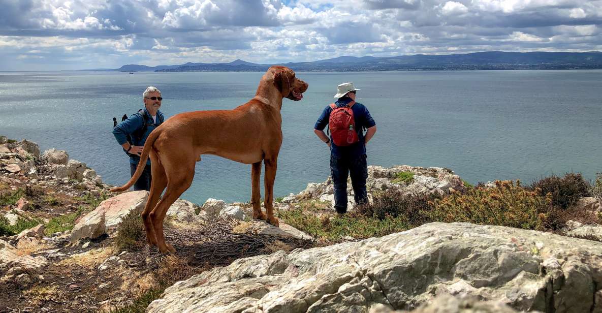 Dublin: Dublin Coastal Hiking Tour With Howth Adventures - Meeting Point and Accessibility