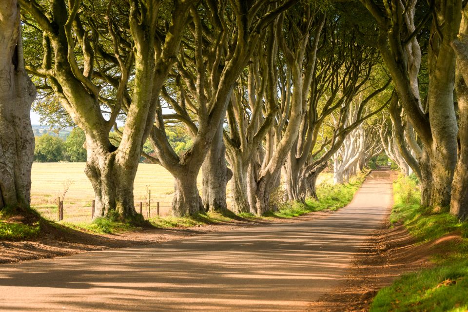 Dublin: Giants Causeway, Dark Hedges, Dunluce & Belfast Tour - Experience Overview