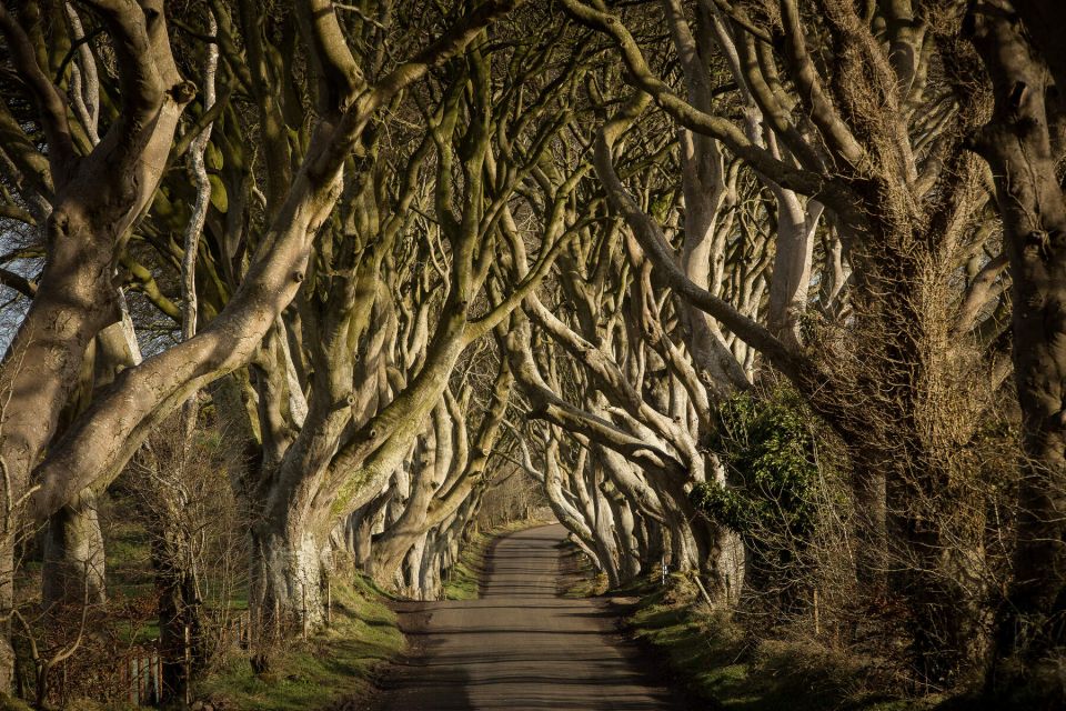 Dublin: Giant's Causeway, Dark Hedges & Titanic Guided Tour - Additional Information and Itinerary