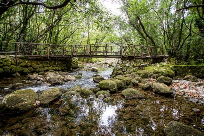 Dubrovnik Countryside With Tasting and Lunch - Additional Information