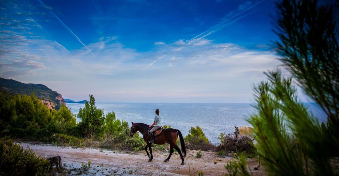 Dubrovnik Kojan Koral: Horseback Riding - Customer Reviews