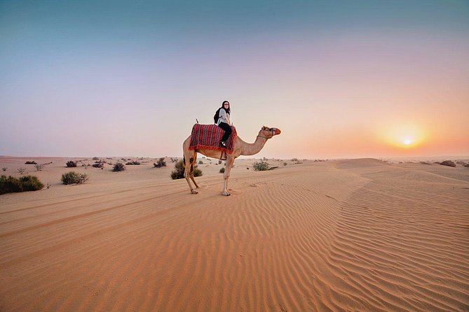 DXB Private Morning Desert Safari With Camel Ride N Sand Boarding - Inclusions