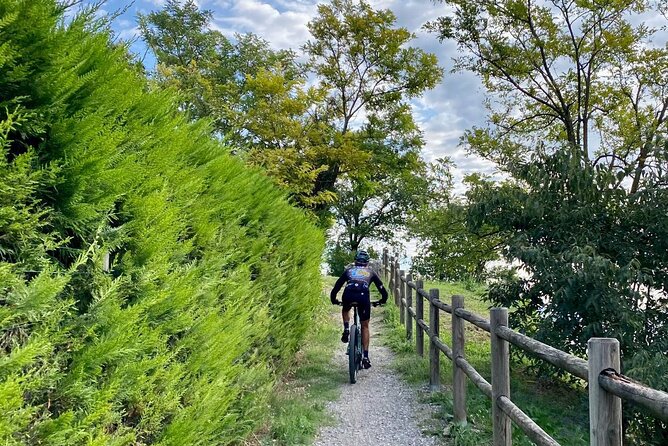 E-Bike Tour and Wine Tasting From Desenzano Inland - Inland Scenic Routes