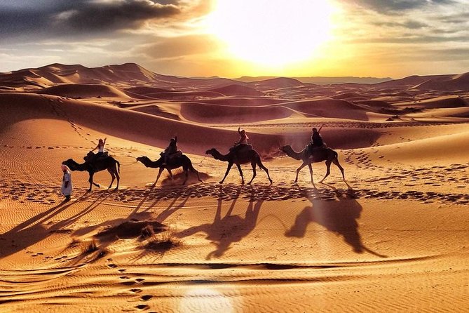 Early Morning Desert Safari With Camel Trekking Experience - Inclusions and Amenities Provided