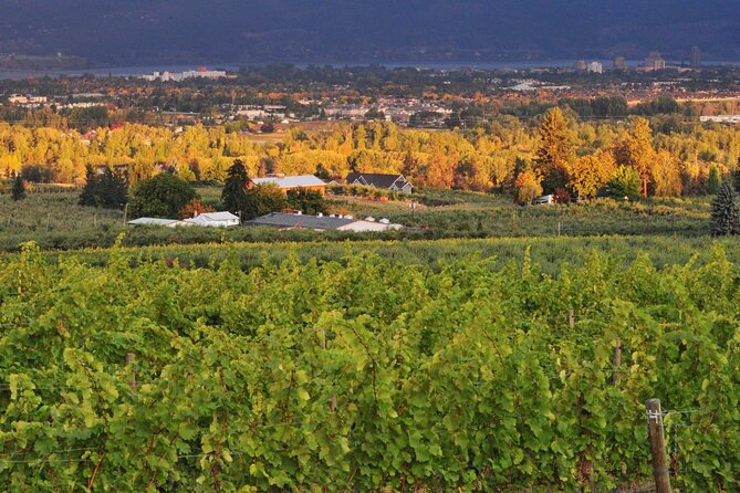 East Kelowna Wineries Tour - Tour Itinerary