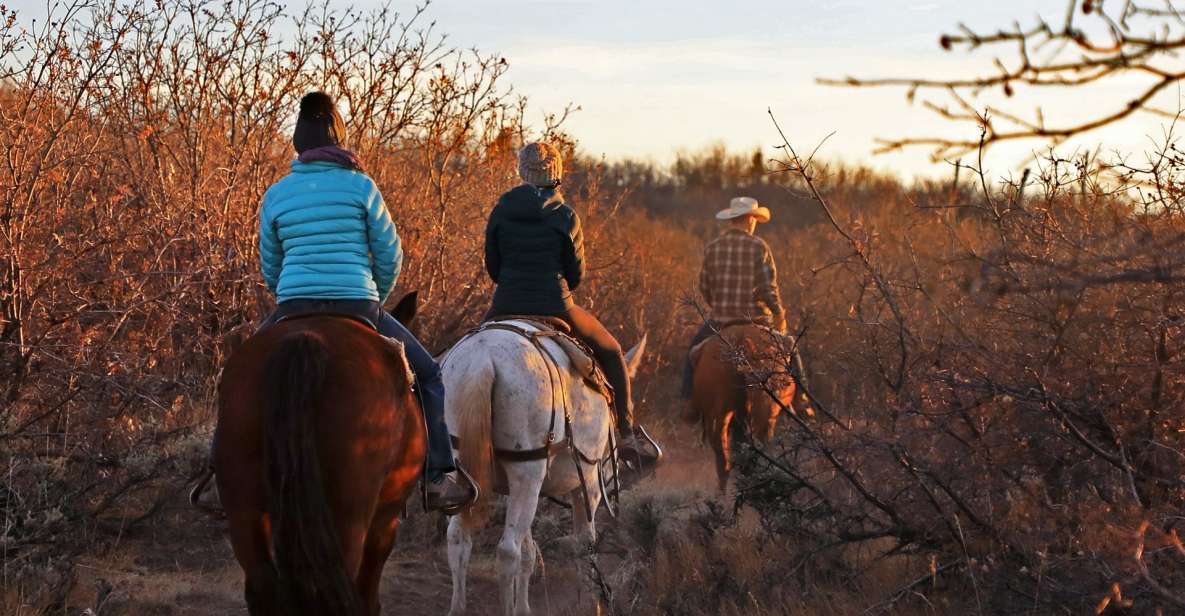 East Zion: Pine Knoll Horseback Tour - Booking Details