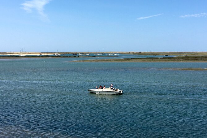 Eco Boat Tour in the Ria Formosa Lagoon From Faro - Itinerary Details
