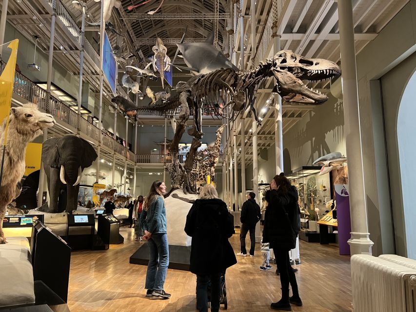 Edinburgh: National Museum of Scotland Guided Tour - Meeting Point Information