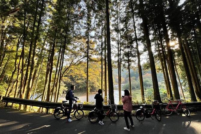 １Day Tokyo Backcountry Okutama With E-Bike - Details of the Okutama E-Bike Tour