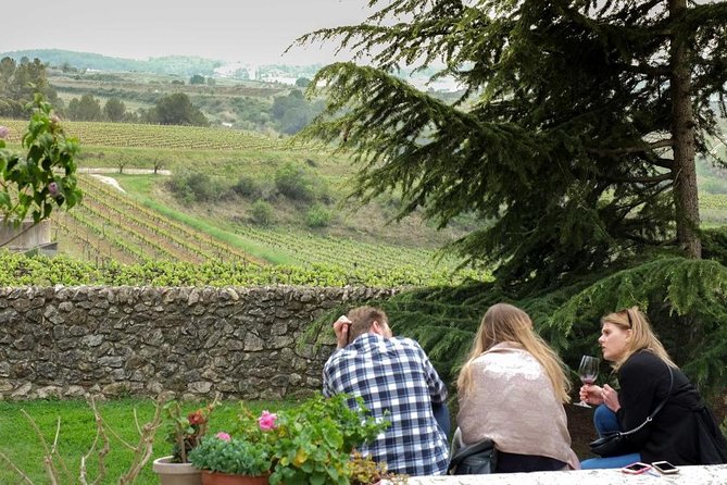 El Penedès Hike & Wine. Premium Small Group Tour From Barcelona - Insider Tips