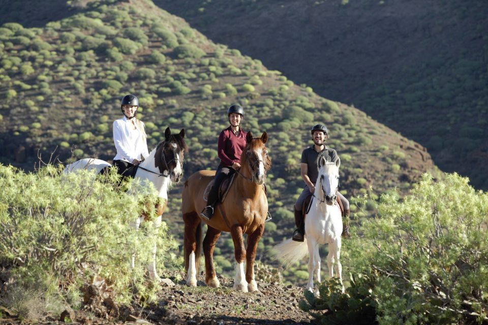 El Salobre: Horse Riding Adventure With Transfer Options - Booking Information