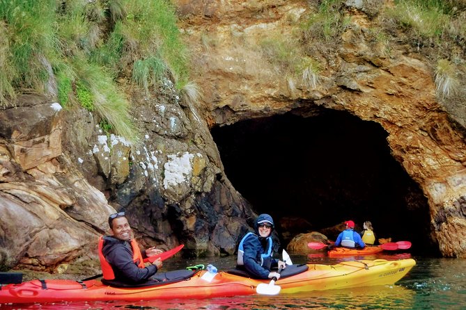 Electric Mountain Bike & Sea Kayak Tour in Akaroa - Support and Assistance