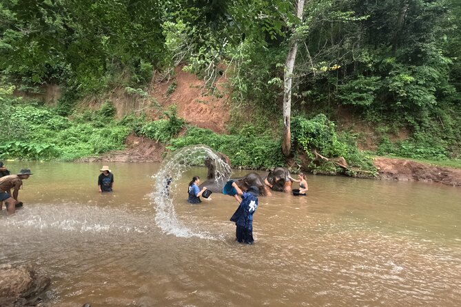 Elephant Care Program at Chiangmai Elephant Care - Participant Requirements