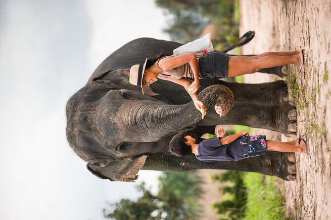 Elephant Jungle Sanctuary: Half Day Morning Program - Booking Information