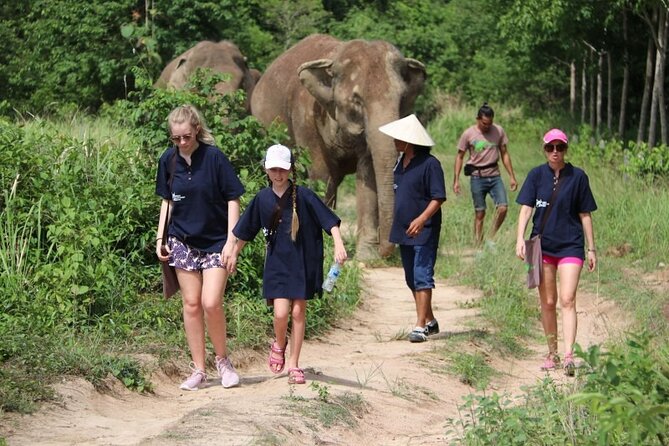 Elephant Nature Care, the Largest Elephant Sanctuary on Koh Samui - Facilities and Services