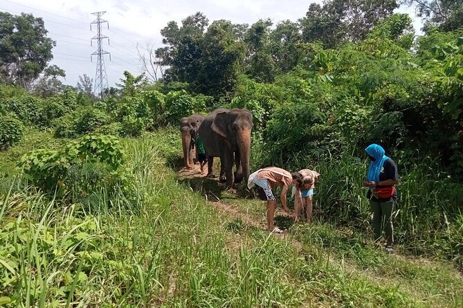 Elephant Sanctuary Small Group Tour in Phuket - Memorable Experiences and Activities