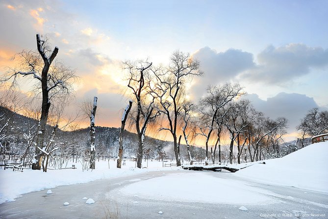 Elysian Gangchon Ski Resort With Nami Island Day Tour From Seoul - Nami Island Exploration