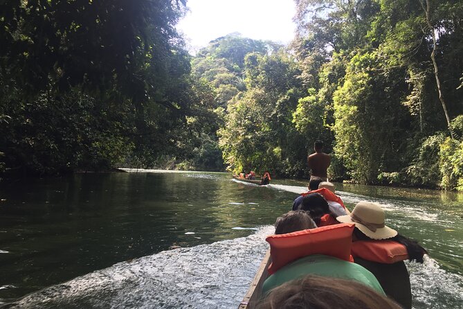 Embera Indigenous Village Adventure Tour - Traveler Reviews and Feedback