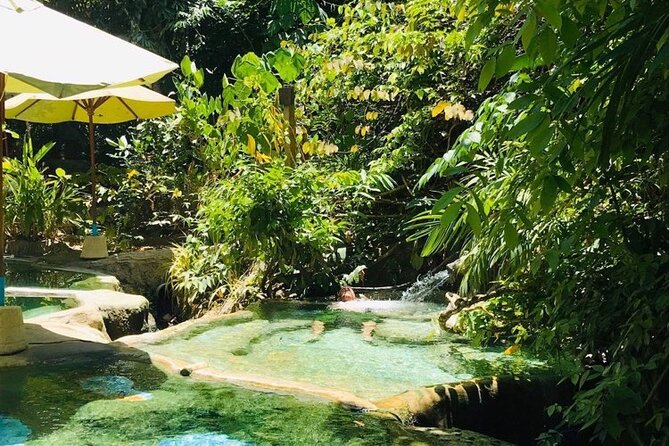 Emerald Pool: Jungle Tour, Private Full Day With Lunch - Booking Information