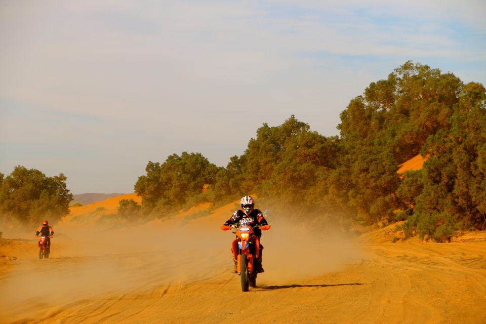 Enjoy a Private Experience in Riding KTM Bikes in Sahara - Itinerary and Highlights