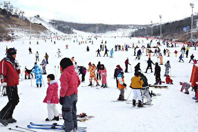 Enjoy Busan Winter at Eden Valley Resort One Day Tour - Spa and Relaxation Options