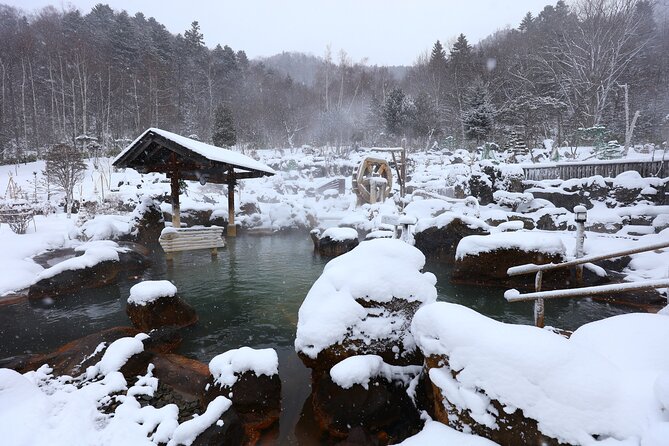 Enjoy Snow-Covered Hot Springs With Private Transport - Convenient Booking Process