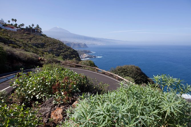 Enogastronomic Tour- 4 Hours in Tenerife - Gastronomic Tour Highlights