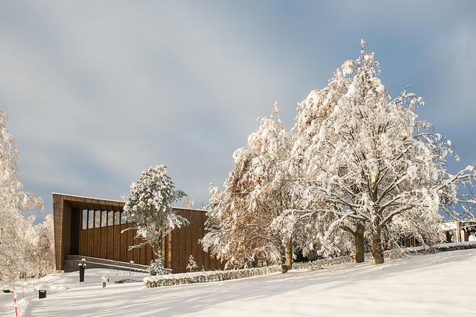 Entry Ticket to Amazing Serlachius Museums in Tampere Region - Serlachius Museum Gosta Highlights